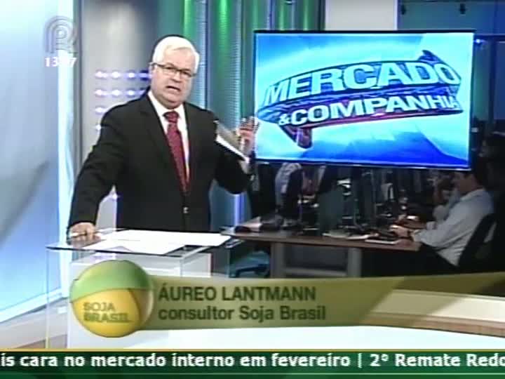 Consultor do Soja Brasil fala sobre a presença da lagarta helicoverpa nas lavouras de soja