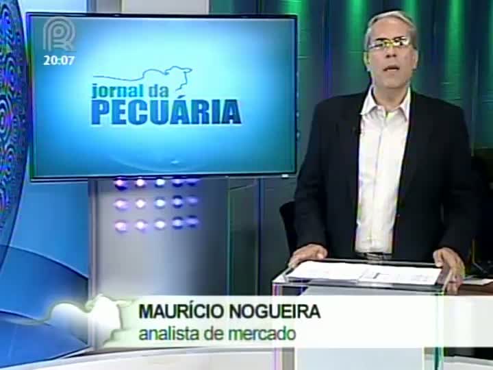 Analista de mercado fala sobre a comercialização de carne de cavalo como bovina na Europa