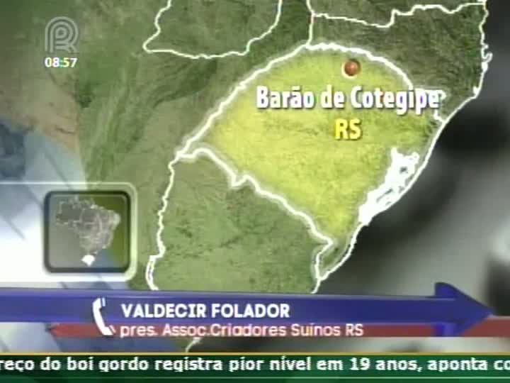 Valdecir Folador, presidente da Associação de Criadores de Suínos do Rio Grande do Sul, fala sobre os preços do suíno