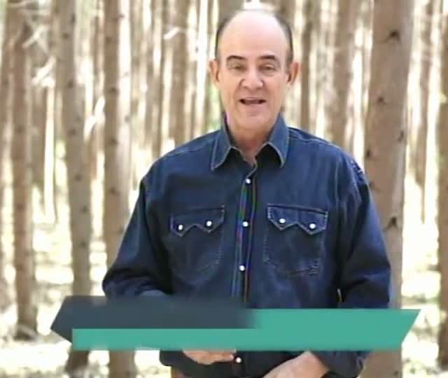 Cuidados necessários com mudas clonais de eucalipto são destaque no Painel Florestal TV