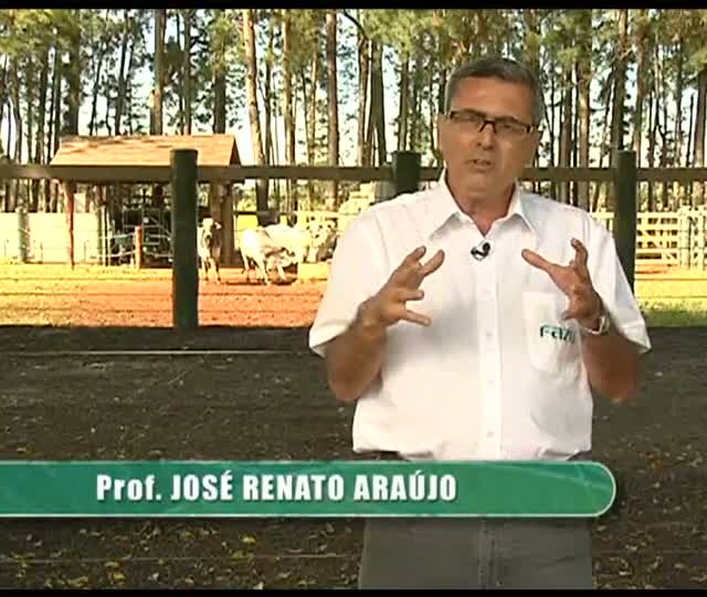 Agrocurso - Planejamento e gestão - Aula 4