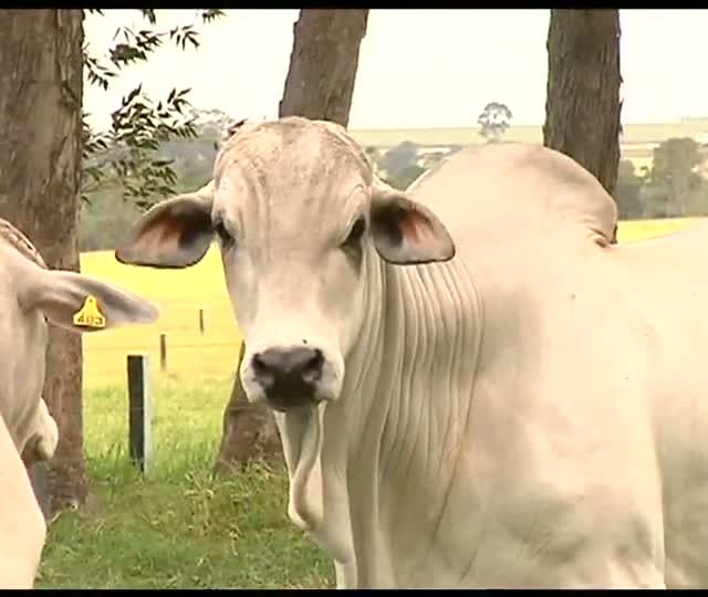 Agrocurso - Planejamento e gestão - Aula 3