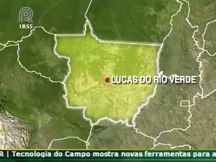 Produtor rural fala sobre os prejuizos causados pela chuva no mercado de grãos