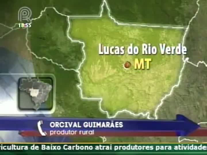 Produtor rural fala sobre produção de soja