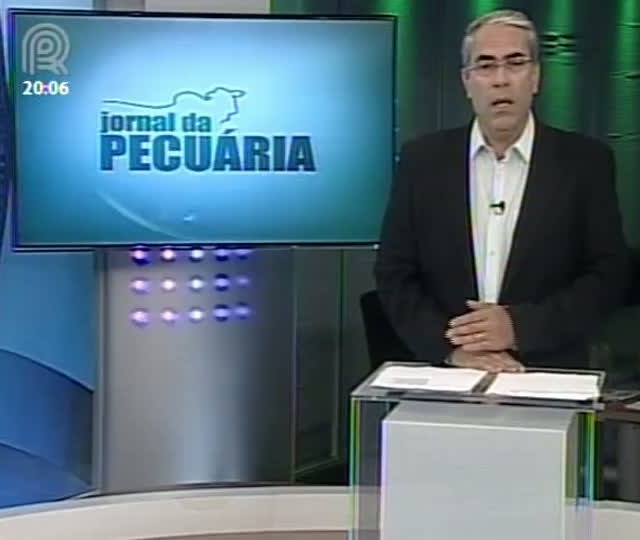 Aluguel de pasto pode ser oportunidade de negócio
