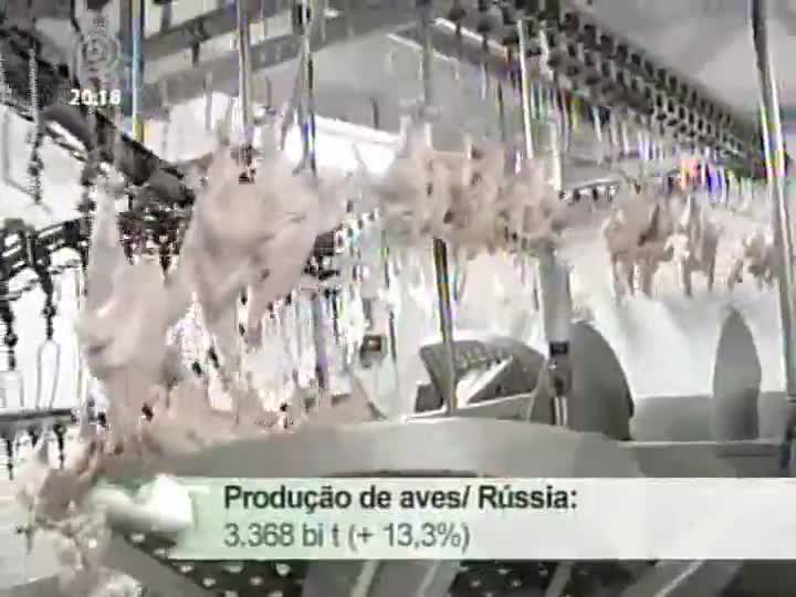 Produção de carne suína e frango registrou alta na Rússia em 2012