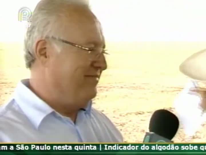 Diretor do Sindicato Rural de Rio Verde (GO) fala sobre a colheita de soja na região