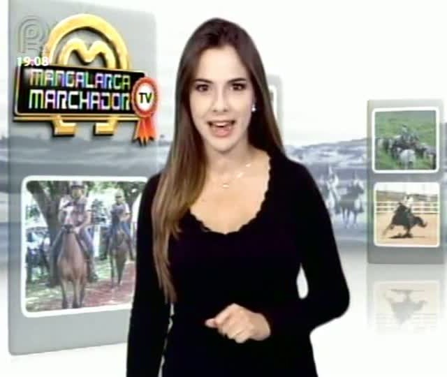 Parte 1: Retrospectiva Mangalarga Marchador TV: veja como foi a trigésima primeira Exposição Nacional em Belo Horizonte (MG)
