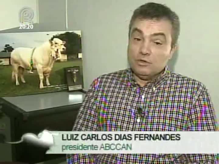 Presidente da Associação Brasileira de Criadores de Canchin faz balanço sobre a raça