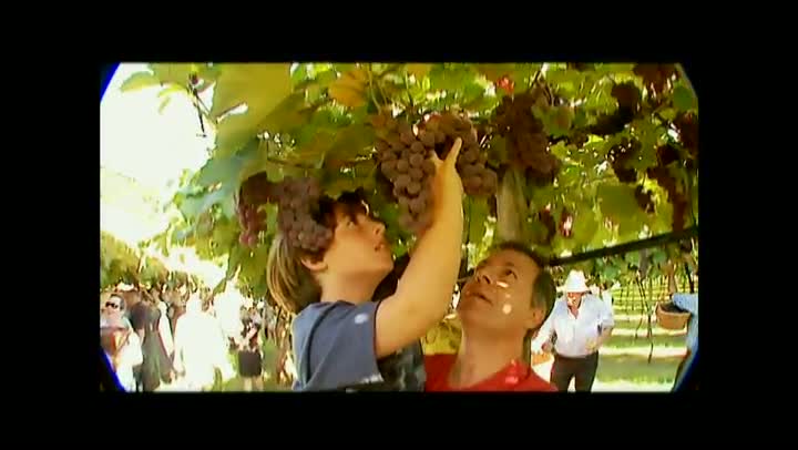 E por falar em vinhos - Abertura oficial da colheita da uva na serra gaúcha