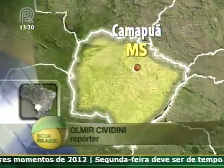 Repórter do Soja Brasil fala sobre a colheita de soja em Mato Grosso do Sul