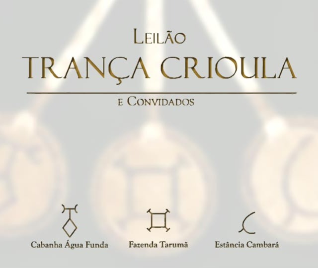 Leilão Trança Crioula