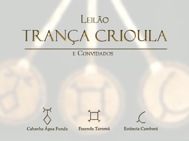 Leilão Trança Crioula