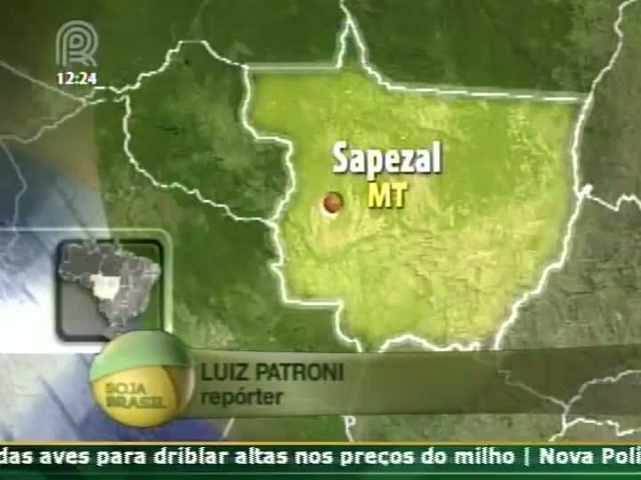 Colheita de soja em Mato Grosso continua parada por causa da chuva