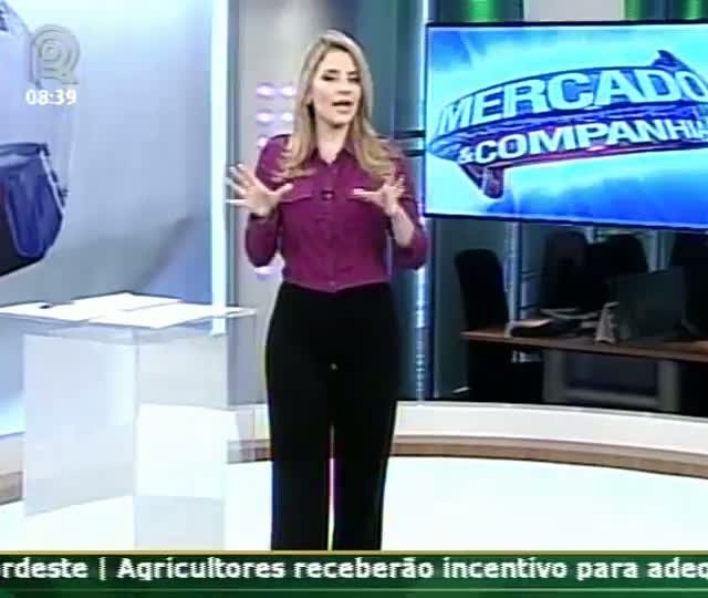 Economia: a encruzilhada no caminho do governo