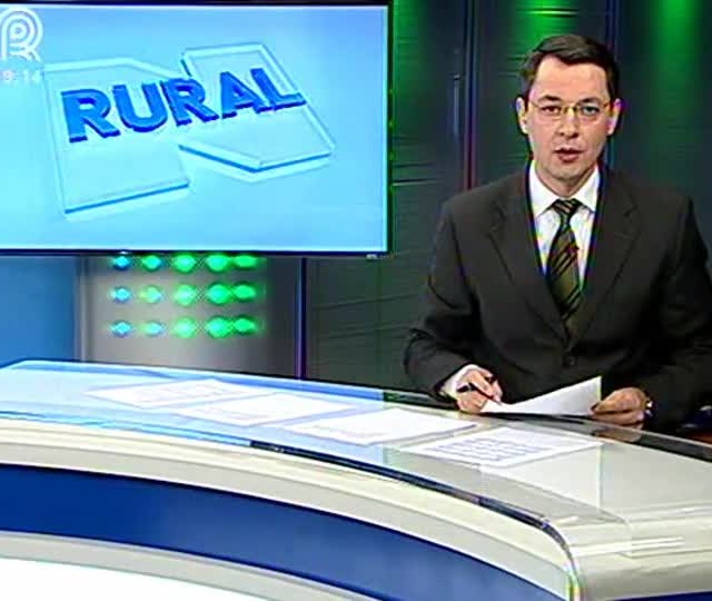 Produtores do Sul do país adotam a soja Bt com cautela