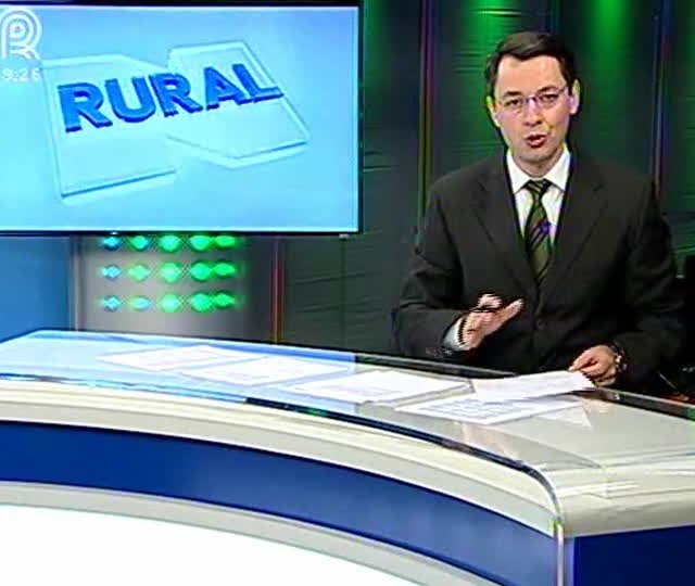 Suinocultores comemoram aumento no preço da carne