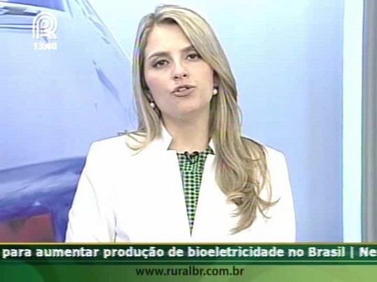 Quebra nas lavouras de café pode ser de 20% no Sul de Minas Gerais