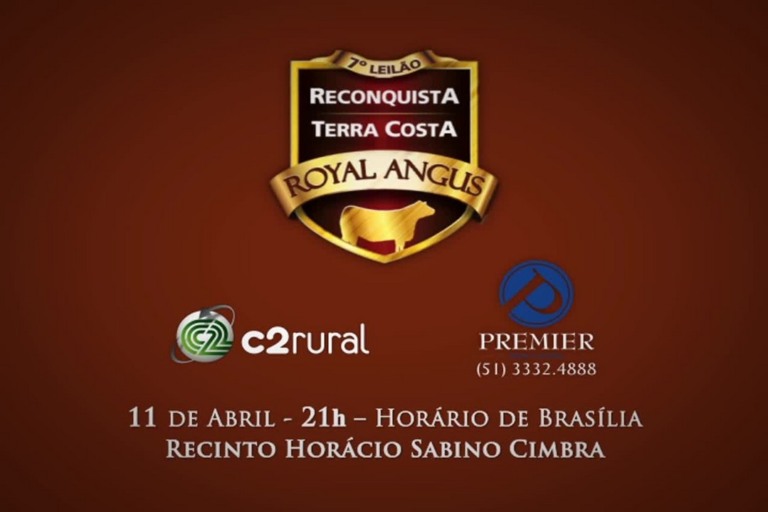 7º Leilão Royal Angus