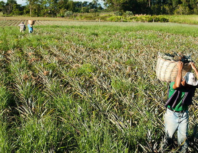 Tudo o que você precisa saber sobre aposentadoria rural