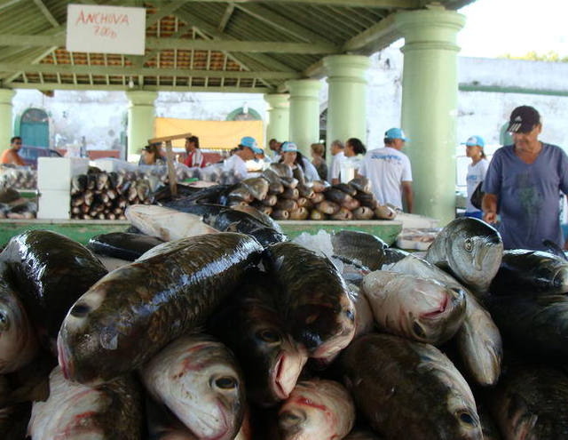 Semana Santa estimula e movimenta comércio de peixe no Rio Grande do Sul