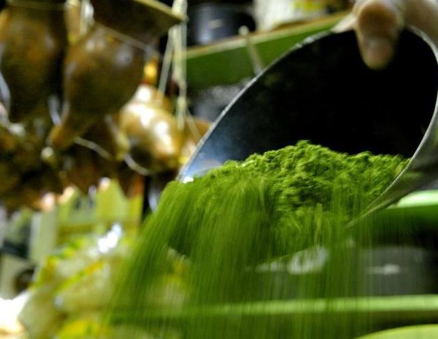Fórum Florestal do Rio Grande do Sul debate produção florestal e de erva-mate