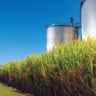 etanol usina cana - produção industrial - mato grosso