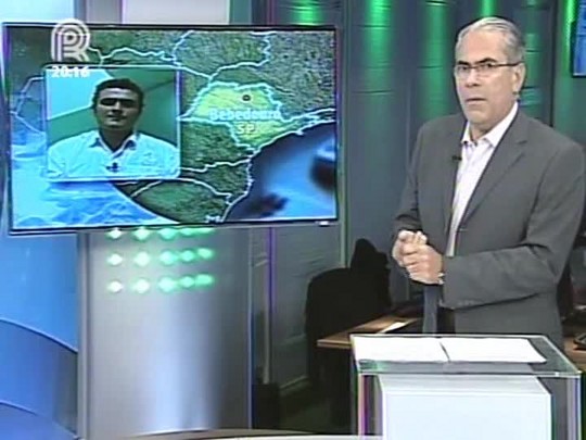 Analista da Scot Consultoria fala sobre a troca do farelo de soja versus arroba do boi gordo