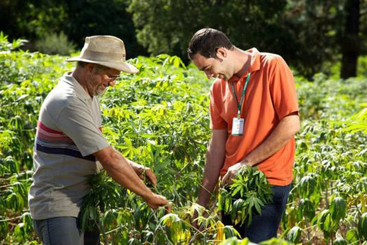 Projeto de lei quer criar o agente comunitário da terra