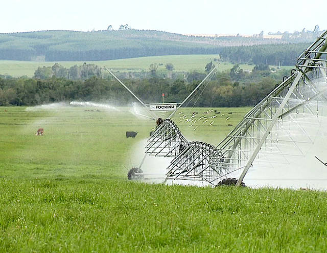 Imea acredita que momento é bom para produtores negociarem a soja