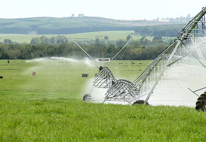 Imea acredita que momento é bom para produtores negociarem a soja