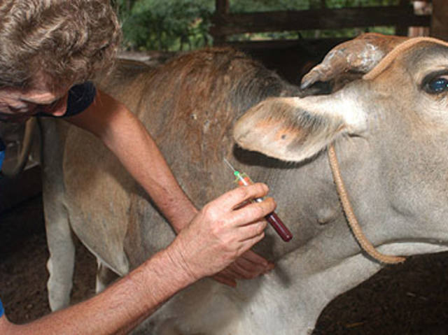 Senar contrata agrônomos e veterinários no Paraná