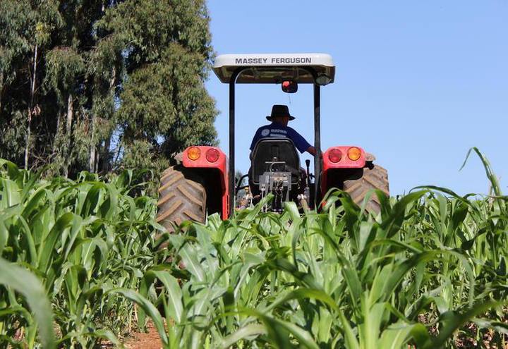 Caged: Agricultura perde 17 mil postos de trabalho