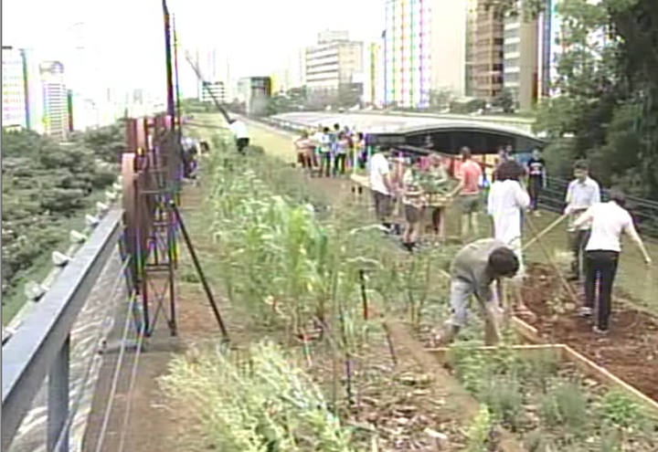 Horta de produtos orgânicos é cultivada na capital paulista