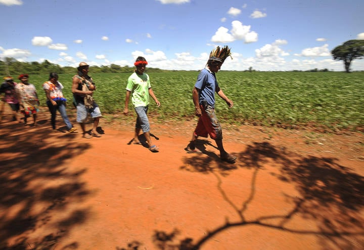 Índios terena ocupam três fazendas em Mato Grosso do Sul