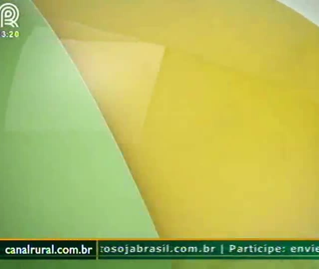 Consultor do Soja Brasil comenta a viabilidade da soja de segunda safra