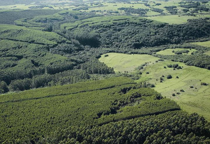 "Questão ambiental deve estar dentro do plano de negócios do produtor", diz especialista