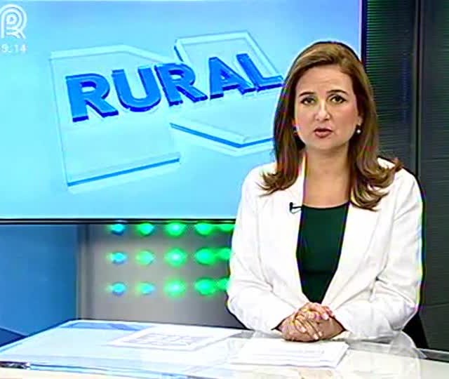 Apesar da burocracia, sojicultores de Goiás acessam crédito para armazenagem