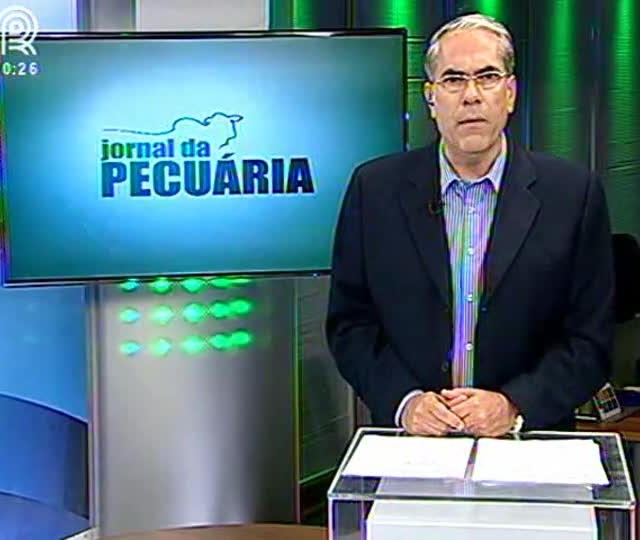 Canal Rural transmite um dos maiores remates de fêmeas da história