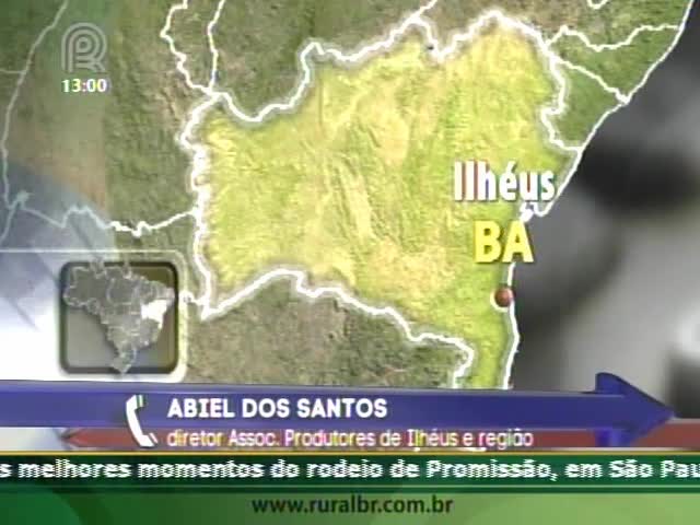 A situação continua tensa entre produtores e indígenas na Bahia