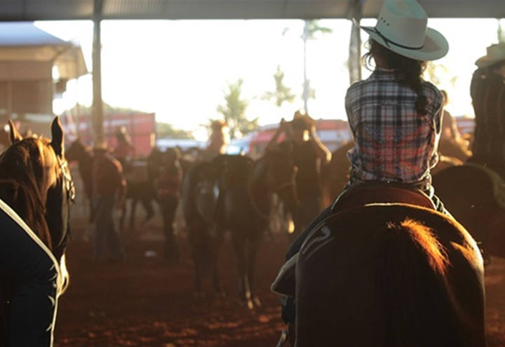 Campeonato Nacional do Quarto de Milha supera 5,1 mil inscrições