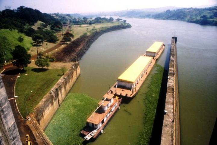 Fonte: Fernanda Farias/Canal Rural