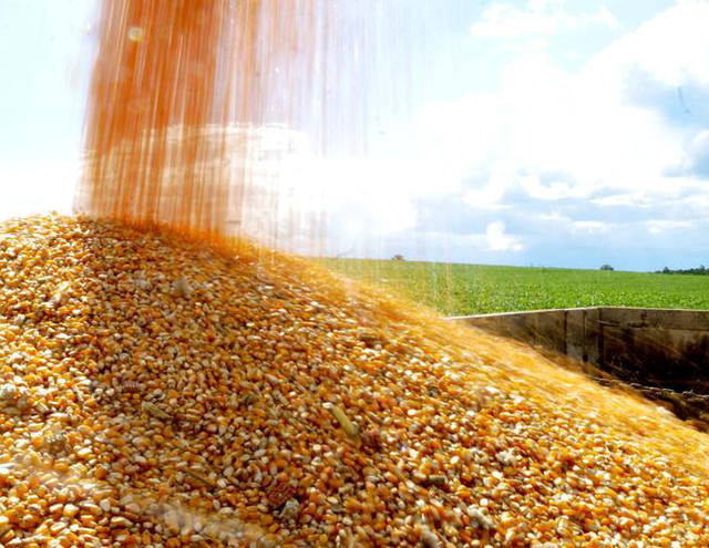 Preços de commodities agrícolas recuam 5,14% em janeiro, informa o BC