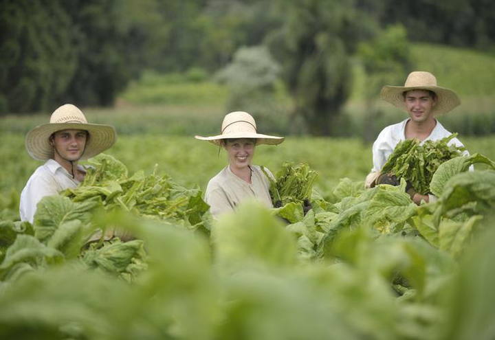 Ministério do Desenvolvimento Agrário exibe boas práticas para agricultura familiar