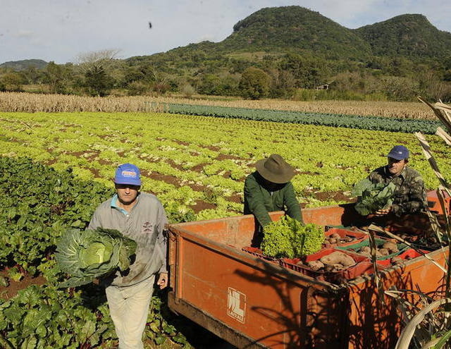 ONU oferece curso gratuito sobre agricultura familiar