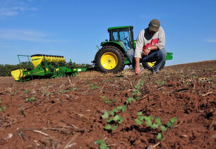 CMN desobriga produtor a contratar seguro para ter acesso a crédito de custeio fora do Proagro