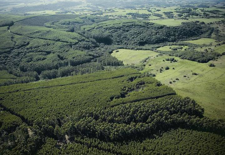 COP21 entra na semana decisiva de negociações para novo acordo climático