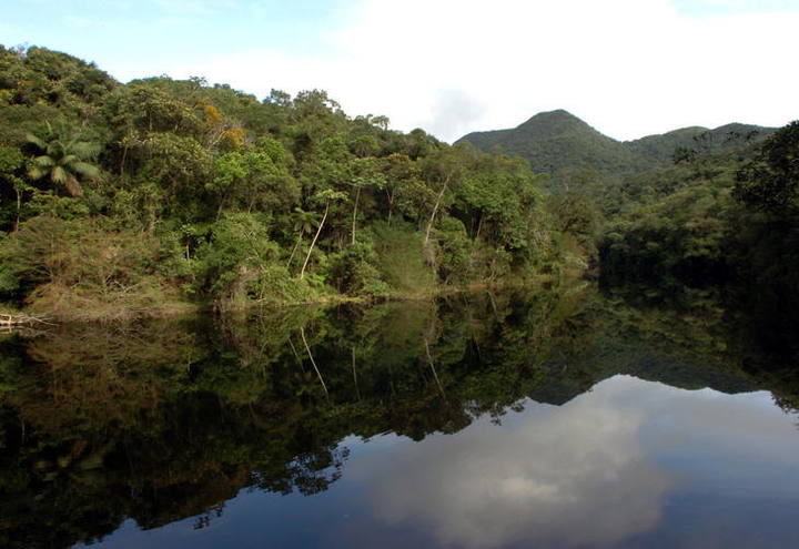 Entenda como funciona a recomposição de matas ciliares no novo Código Florestal