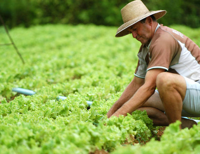CAR será destaque no Plano Safra da Agricultura Familiar