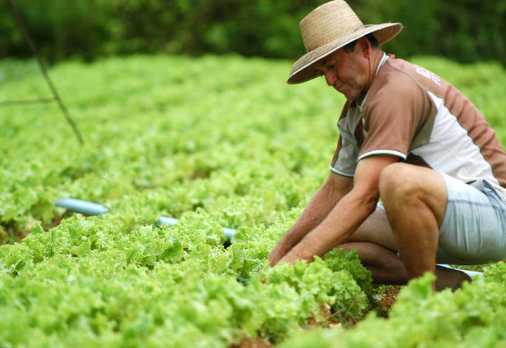 CAR será destaque no Plano Safra da Agricultura Familiar